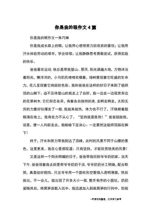 你是我的眼作文4篇_优秀作文