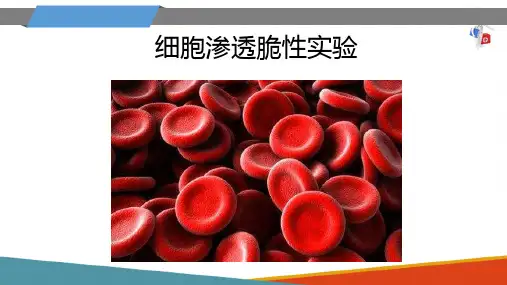 实验指导 实验一红细胞渗透脆性 生理学课件