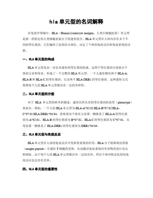 hla单元型的名词解释