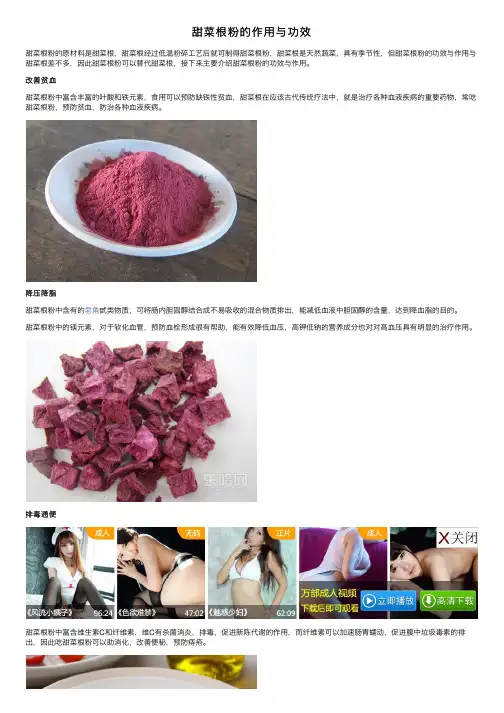 甜菜根粉的作用与功效