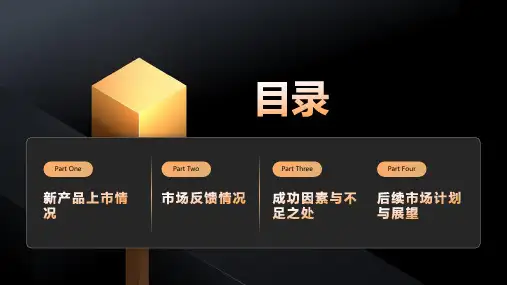 新产品上市与市场反馈情况分析