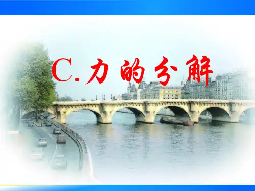 沪科版(上海)物理高一第一学期(试用版)-第二章 C 力的分解 课件 