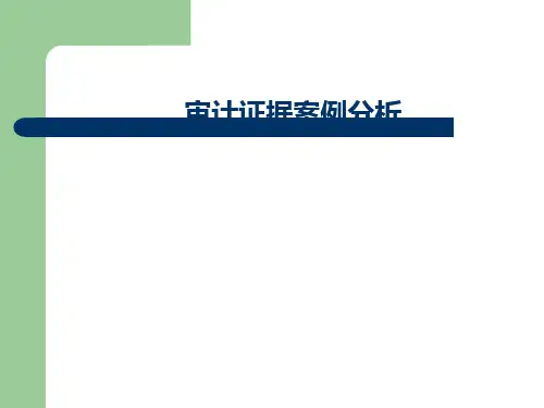 审计证据案例分析ppt