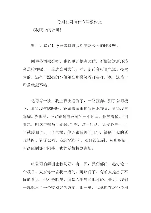 你对公司有什么印象作文