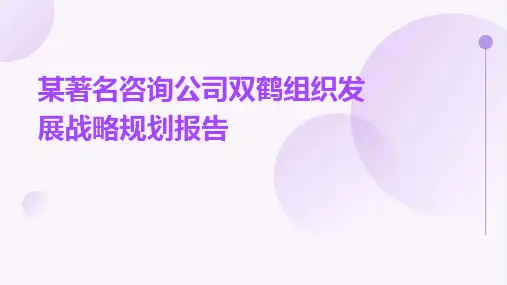 某著名咨询公司双鹤组织发展战略规划报告