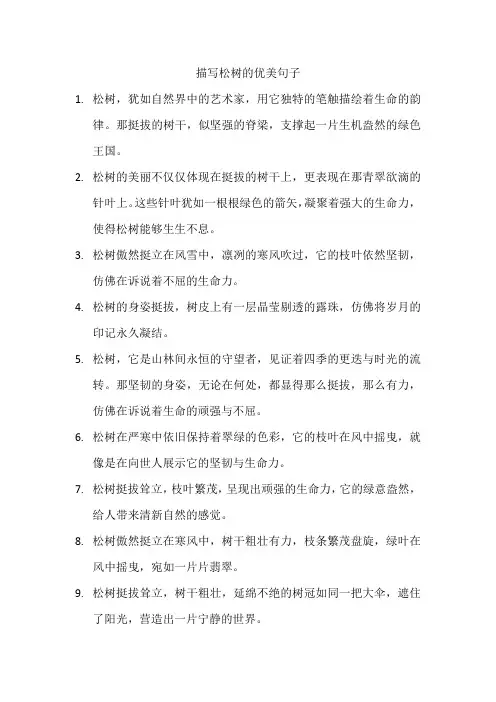 描写松树的优美句子