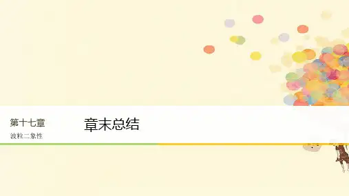 高中物理第十七章波粒二象性章末总结课件新人教版选修3_5