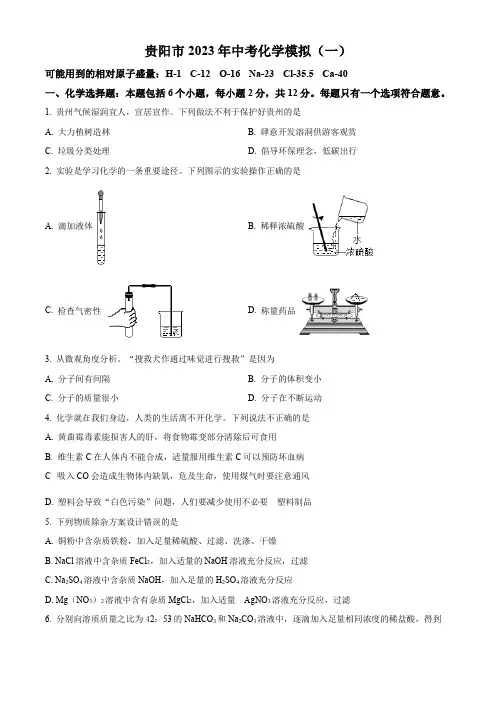 2023年贵州省贵阳市中考一模化学试题(原卷版)