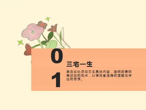 三宅一生品牌分析