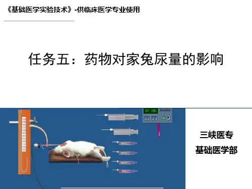 五、药物对家兔尿量的影响