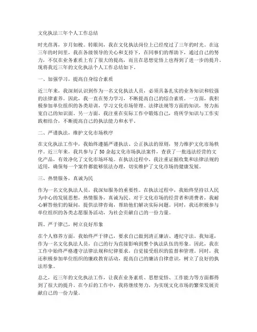 文化执法三年个人工作总结