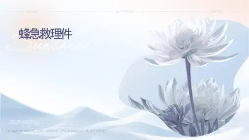 蜂蛰伤急救护理课件