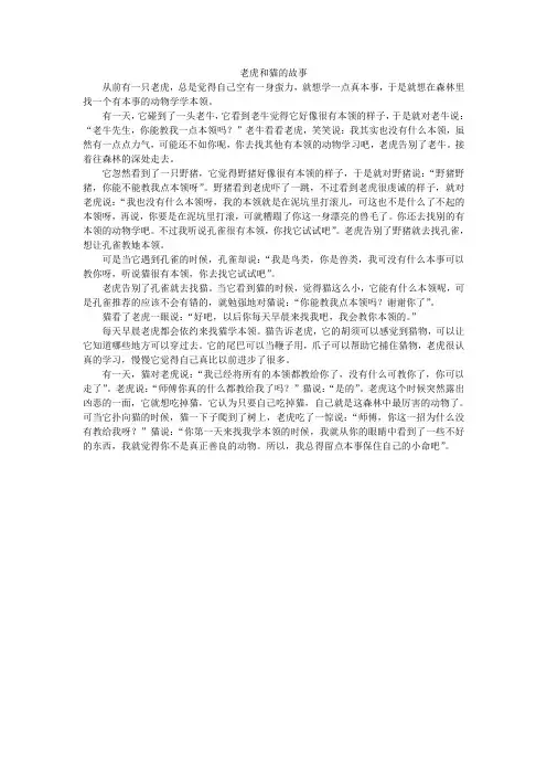 老虎和猫的故事