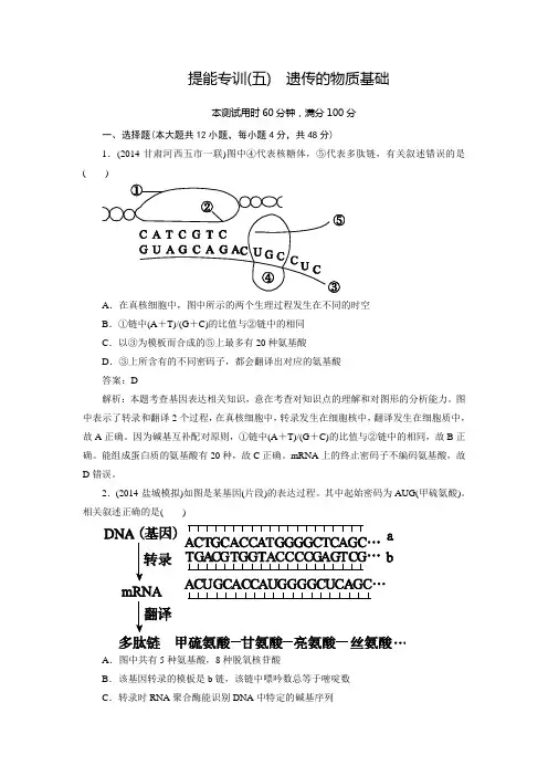 2015高考生物二轮复习提能专训5遗传的物质基础(含解析)