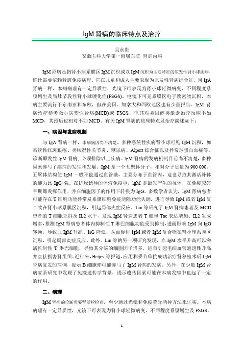 IgM肾病的临床特点及治疗