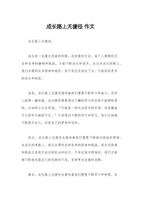 成长路上无捷径 作文