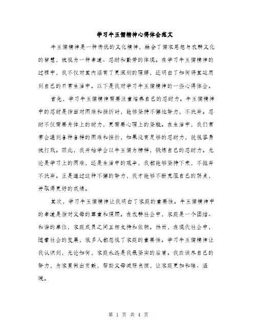 学习牛玉儒精神心得体会范文（二篇）