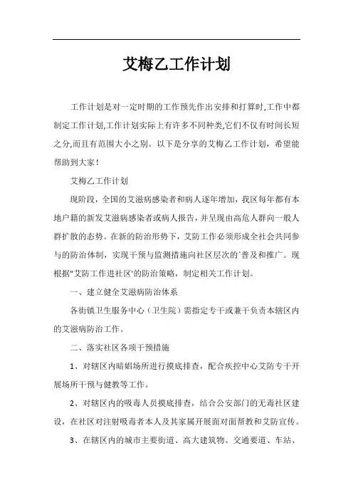 艾梅乙工作计划