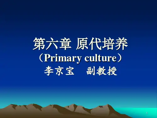 原代培养