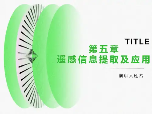 遥感信息提取及应用