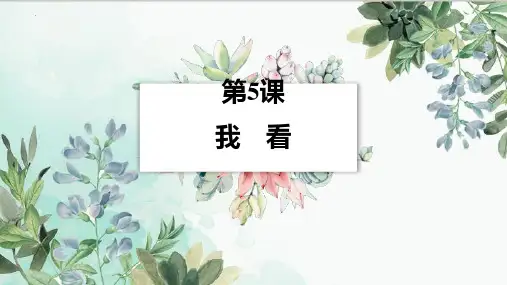 新人教版九年级语文上册《我看》ppt教学课件