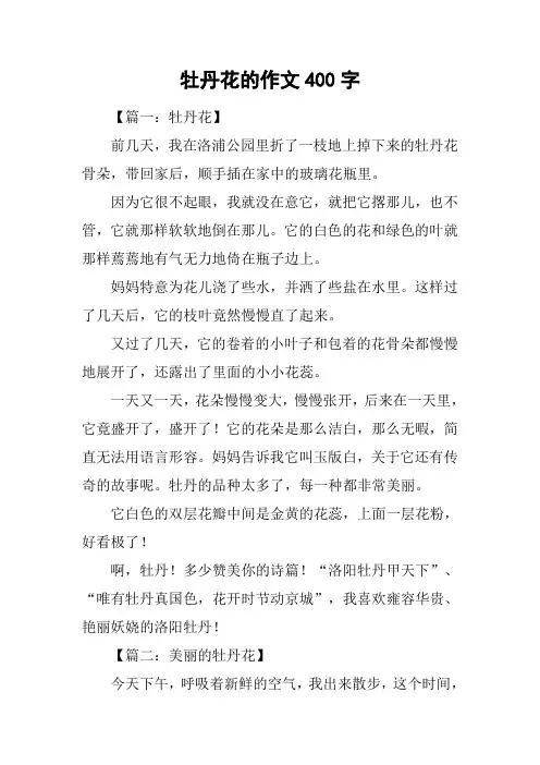 牡丹花的作文400字