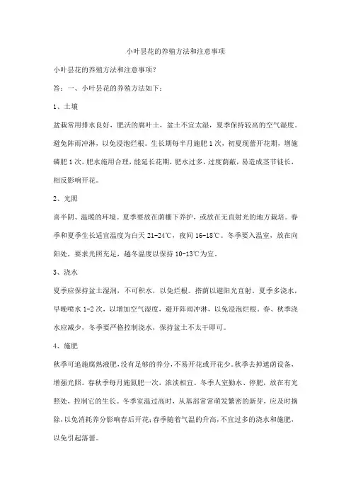小叶昙花的养殖方法和注意事项