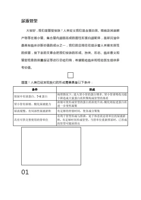 尿液管型