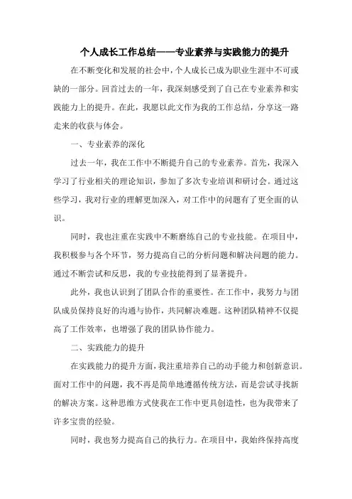 个人成长工作总结——专业素养与实践能力的提升