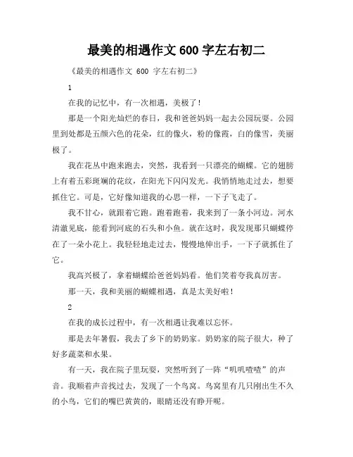 最美的相遇作文600字左右初二