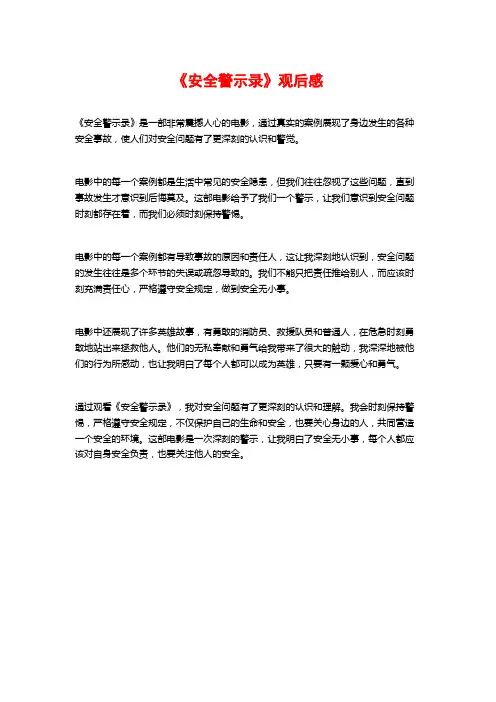 《安全警示录》观后感