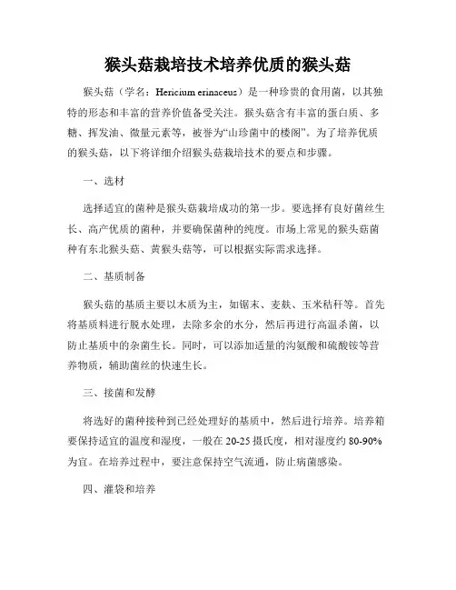 猴头菇栽培技术培养优质的猴头菇
