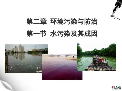 课件16：2.1 水污染及其成因
