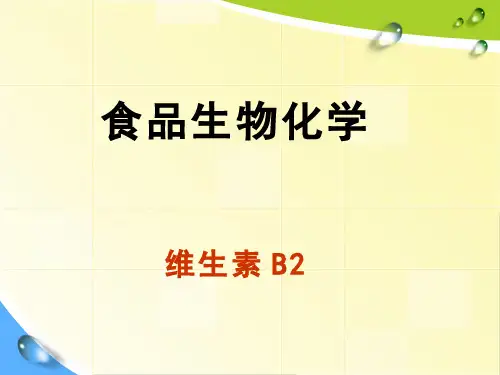 626-演示文稿-维生素B2