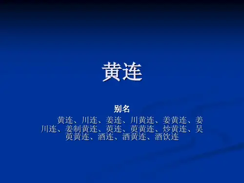 黄连PPT