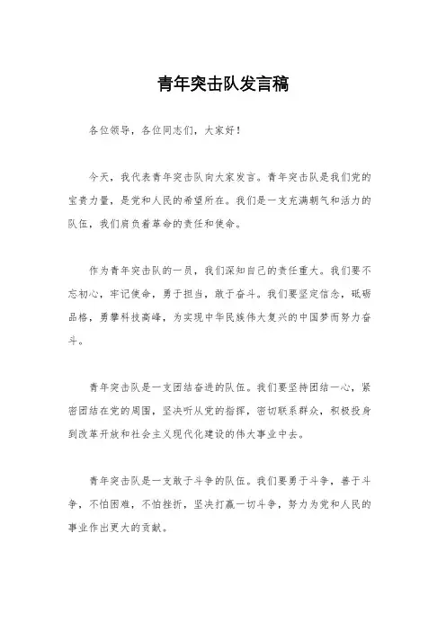 青年突击队发言稿