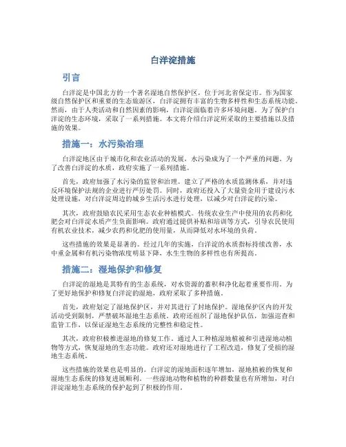 白洋淀措施