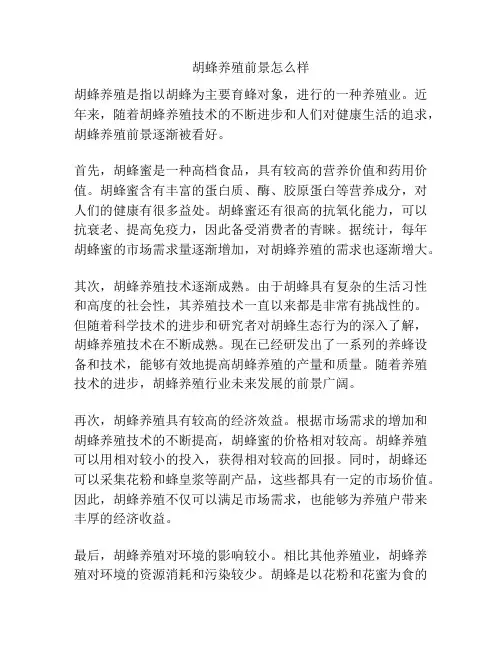 胡蜂养殖前景怎么样