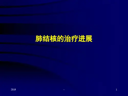 肺结核的治疗进展ppt课件