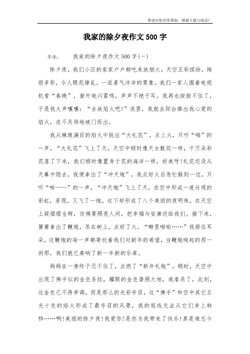 我家的除夕夜作文500字