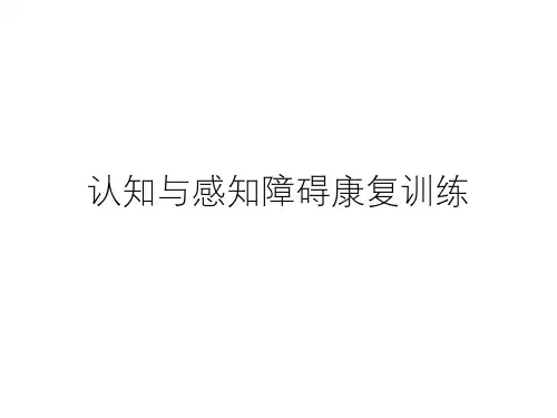 认知与知觉障碍康复训练