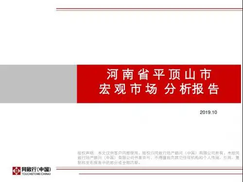河南省平顶山市宏观市场分析报告-PPT精选文档