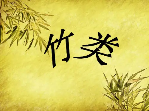 5.4竹类
