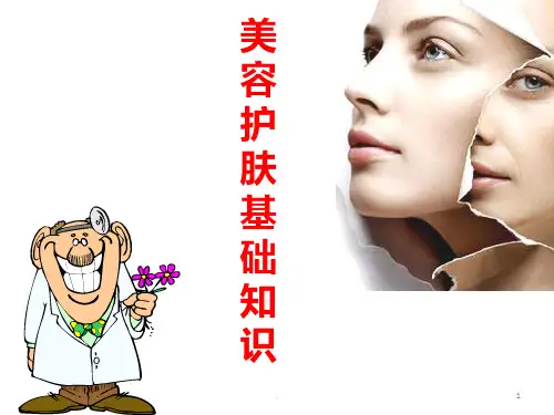 美容护肤基础知识PPT课件