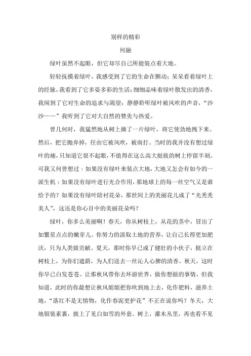 别样的精彩(小学生作文)