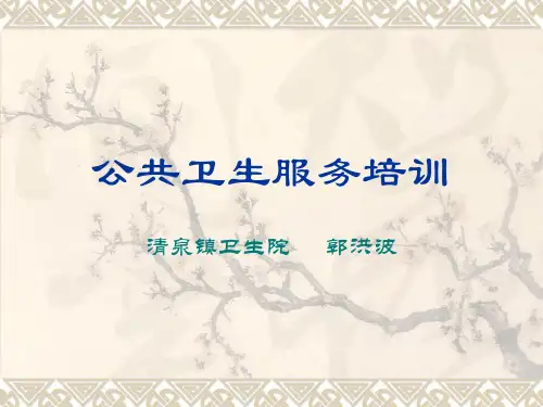 公共卫生乡村医生培训PPT资料45页