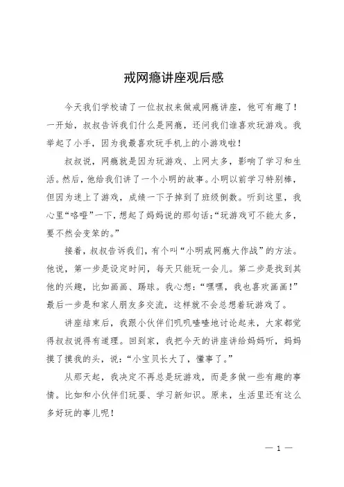 戒网瘾讲座观后感