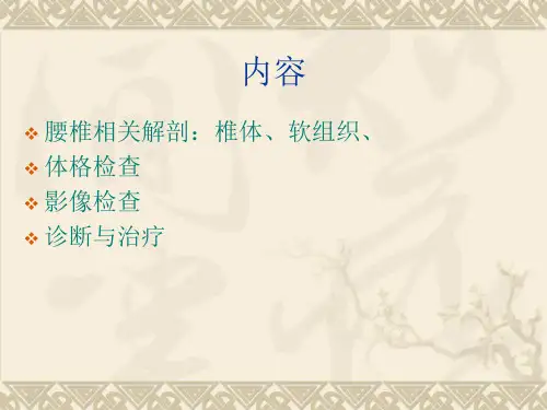 腰椎病.ppt