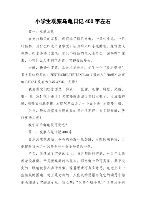 小学生观察乌龟日记400字左右_作文