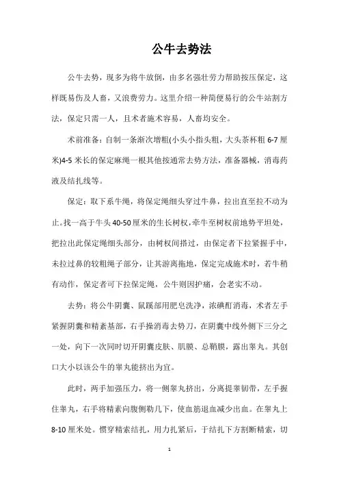 公牛去势法
